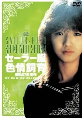 西部动作片荒原信使高清在线观看